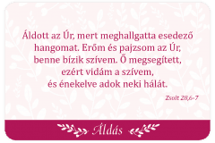aldas_kartyak_-_18