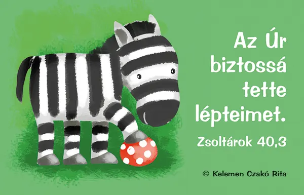 allatok-a-barkabol-zebra