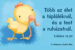 allatok-a-barkabol-csibe