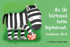 allatok-a-barkabol-zebra