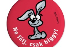 hutomagnes_41