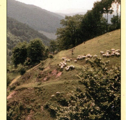 Téged áldalak! - kártyák
