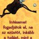 Dicsérjétek az Urat! (darab)