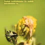Képeslap 2011