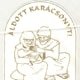 Karácsonyi tasak