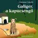 Galiger, a kapucsengő