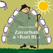 Zavarban a »Bari Bt.«