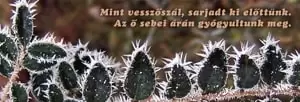 Karácsonyi könyvjelző