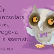 Állatok a bárkából - mini kártyák