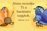 Állatok a bárkából - nagy igés kártyák