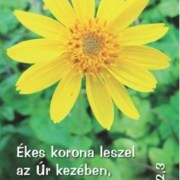 Virágok - mini kártyák