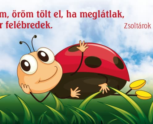 Állatkák igés kártyák
